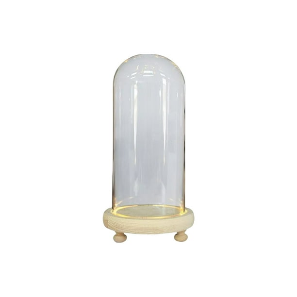 Naiovety de cúpula de cristal para Hotel, mesita de noche, jarrón de flores secas iluminadas, botella de exhibición, terrario con paisaje, tarro, Iluminación y accesorios 9x20cm Naiovety HA074928-05