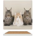 thumbnail image 2 of Maine Coon Cats Drink Square Set For Home,Bar,Restaurant Table,Kitchen Fit All Cups white 4pcs, 2 of 6