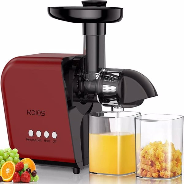 Masticating Juicer Sale Shop Cheap clc.cet.edu