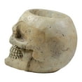 thumbnail image 5 of Northlight Skeleton Skull Halloween Decoration - 11" - Ivory and Black, 5 of 5