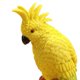 thumbnail image 5 of Adorno de acuario de loro kusrkot paisajismo del tanque de peces colgante amarillo, 5 of 7