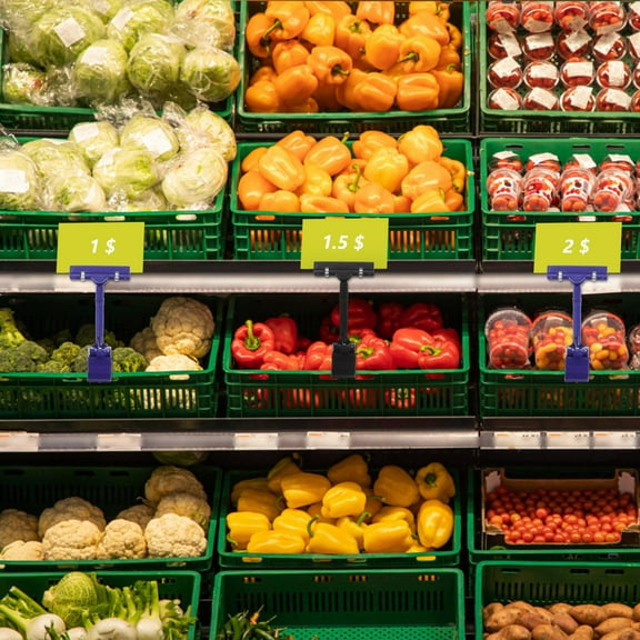 SEWCHICS 10Pcs Sturdy Plastic Signage Stands with Adjustable Double Clips Assorted Colors for Merchandise Display