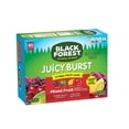 Black Forest Fruit Snacks Juicy Bursts, Mixed Fruit, 0.8 Ounce (40
