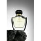 thumbnail image 3 of Perfume Elixir 3.4 de Mast Perfume Eau de Parfum, 100 ml, 3 of 3