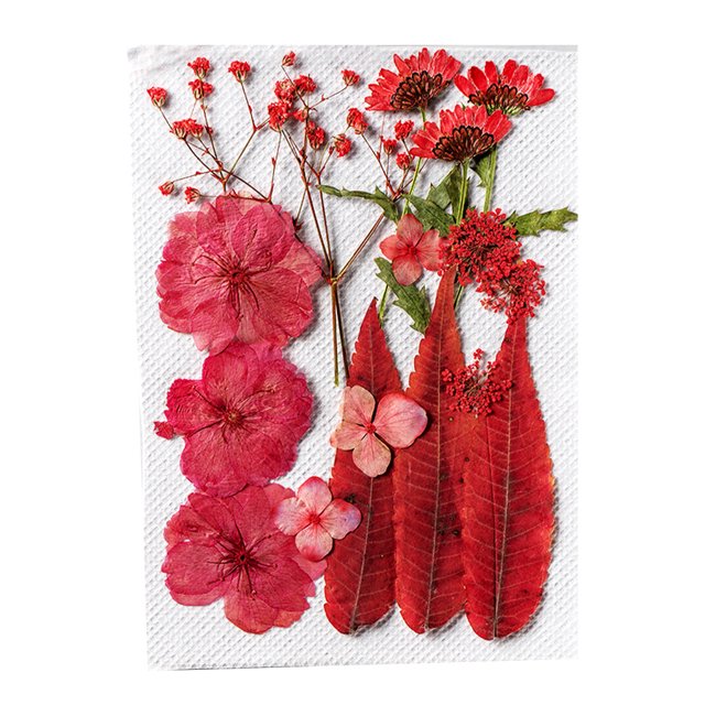 Flores secas naturales Artesanía en relieve Plantas Flores prensadas Decoración de colores Decoración Decoración Decorativa Decorativa Tipo 3 Inevent HA012447-02
