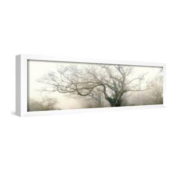 panoramic octopus ghost oak, Botanical Scenic Framed Art Print Wall Art by Phillipe Manguin Sold by Art.Com