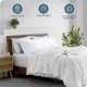 thumbnail image 2 of Bare Home Funda de Almohada Corporal - Cierre de Cremallera - Ultra Suave - Doble Cepillado - Blanco, 2 of 8