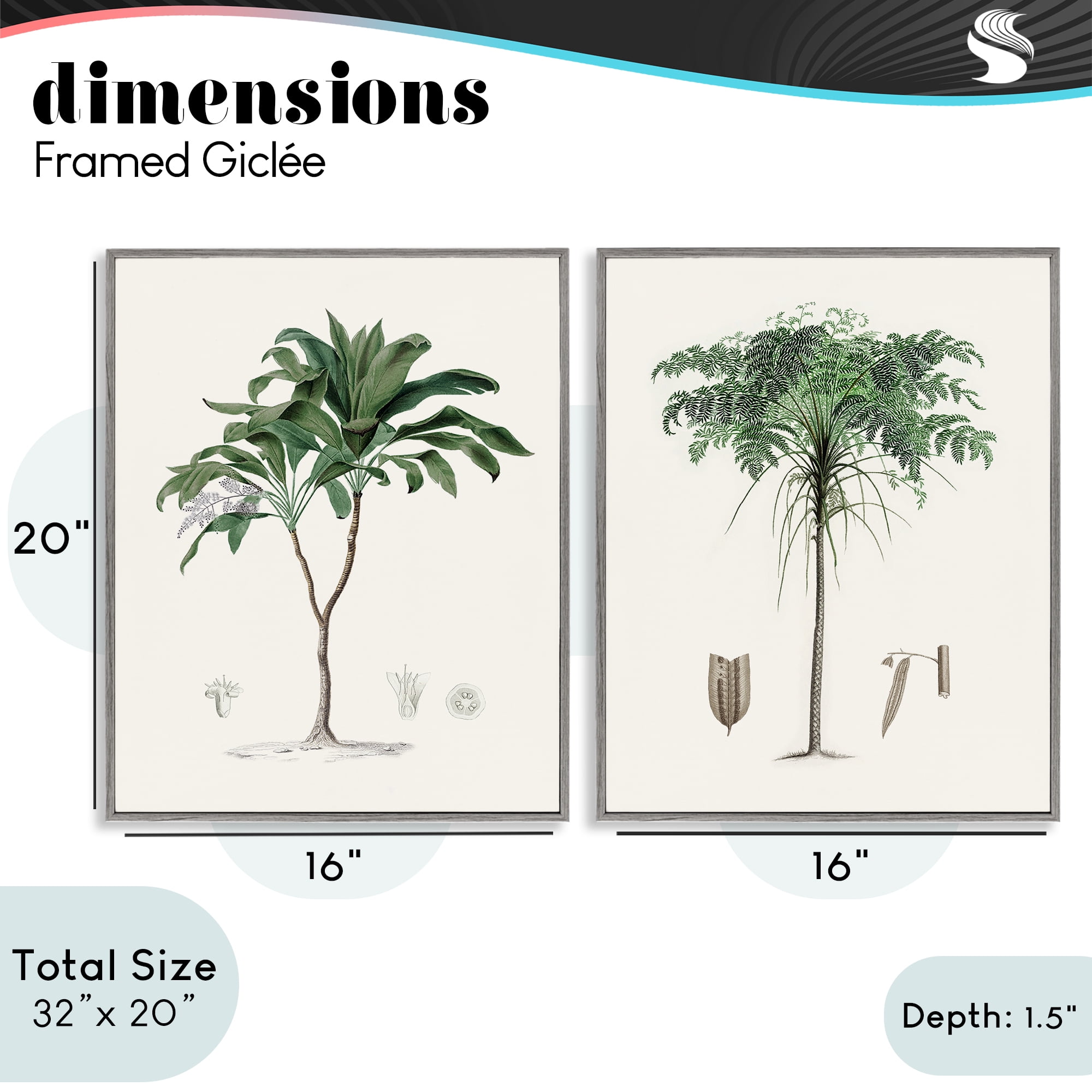 Stupell Industries Two Types of Palms 2 Piece Gray Framed Giclee Art Set, design by Val Rhodes