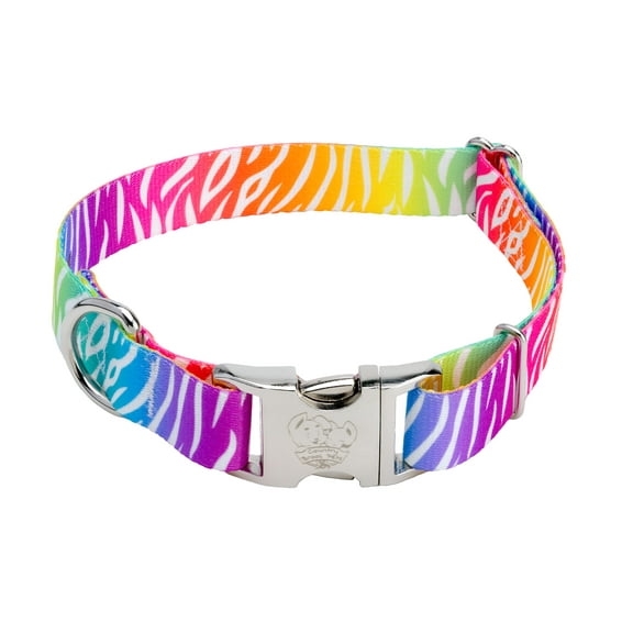 Country Brook Petz® Premium Fashion Zebra Dog Collar, Extra Large