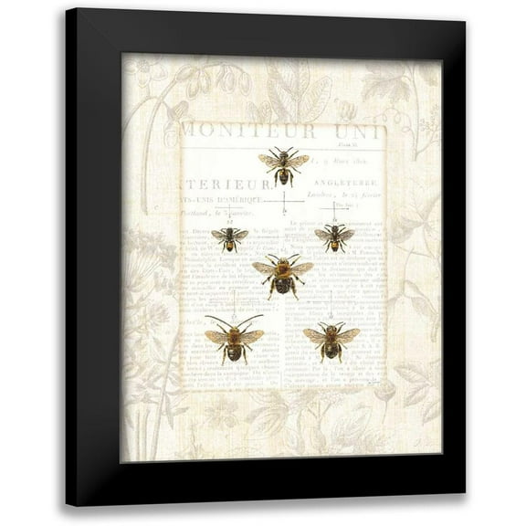 Schlabach, Sue 12x14 Black Modern Framed Museum Art Print Titled - Bee Botanical