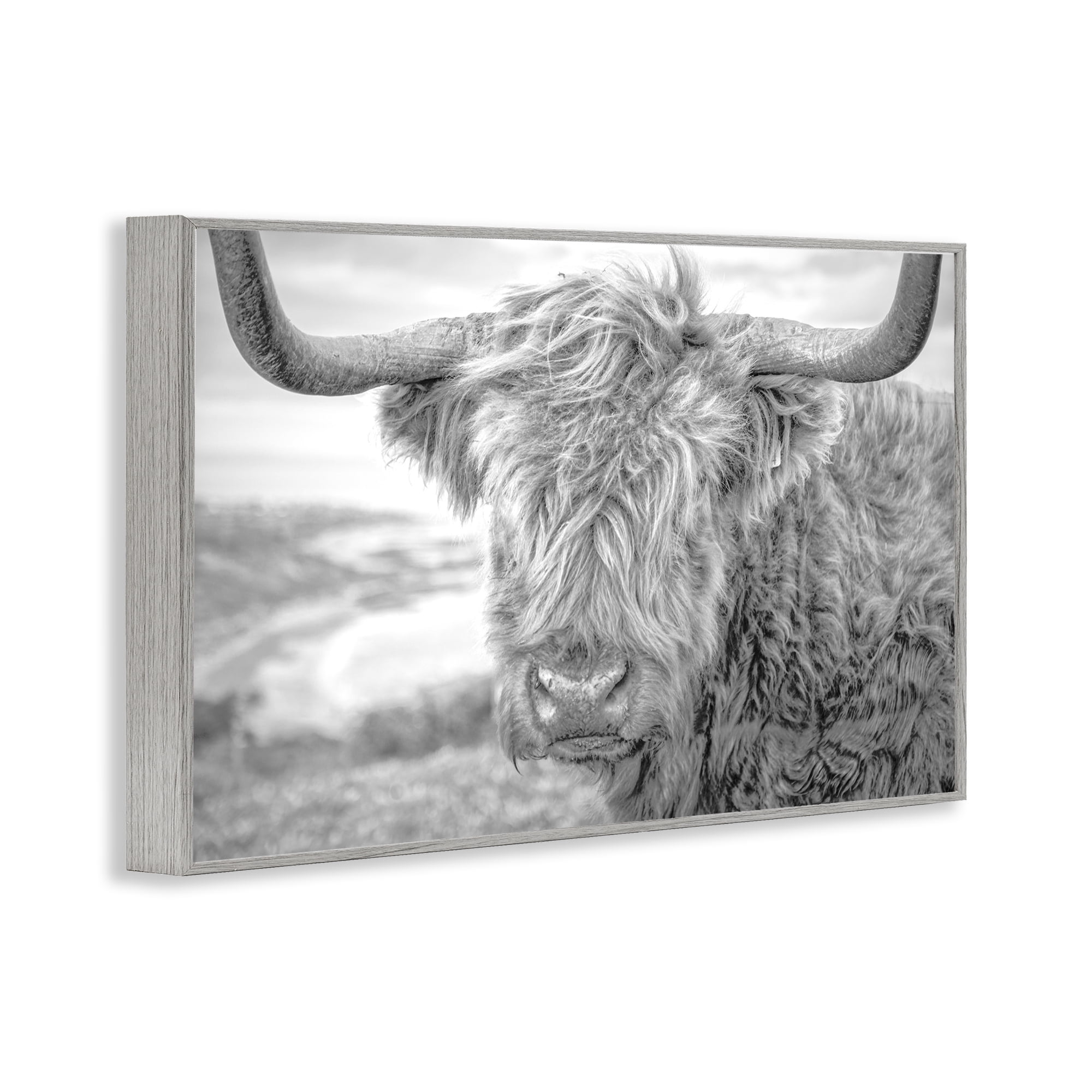 Stupell Industries Close Up Fuzzy Cattle Animals & Insects Photography Gray Framed Art Print Wall Art, 18 x 12