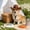 M#798, variant on Dog Cowboy Hat for Small Dogs and Cats, Adjustable Pet Costume Hat for Halloween, Parties and Funny Photos