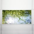 thumbnail image 7 of Octo Lights - Fluorescent Light Covers - 2x4 Flexible Ceiling Light Filters - For Classrooms and Offices - Tree 006, 7 of 7