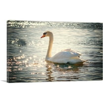 ARTCANVAS Swan In Lake Home Decor Rectangle Canvas Art Print - Size: 26" x 18" (0.75" Deep)