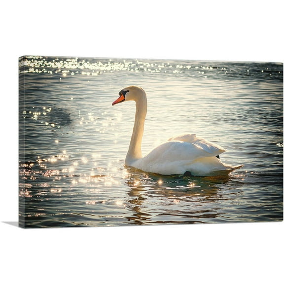 ARTCANVAS Swan In Lake Home Decor Rectangle Canvas Art Print - Size: 26" x 18" (0.75" Deep)