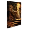 thumbnail image 2 of Trademark Fine Art "Abandoned Stone Staircase" Canvas Art by Lois Bryan, 2 of 3