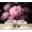 Color 3, variant on Wallpaper Soft Pink Peony Bouquet Dark Accents Romantic Floral Summer Peel and Stick Wall Murals 100"H x 144"W Removable PVC Wall Paper Self-Adhesive Wall Paintings Art Decor for Bedroom Living Room