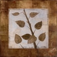 thumbnail image 2 of Cheryl Martin 36x36 Gallery Wrapped Canvas Wall Art Titled - Birch, 2 of 4