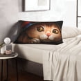 thumbnail image 6 of Fuzoiu Animal Cat Print Fuzzy Pillowcases, Super Soft Pillow Case Cover with Zipper for Bedroom, Sofa, Couch,Cozy Pillow Shams for All Seasons-20"x30", 6 of 6