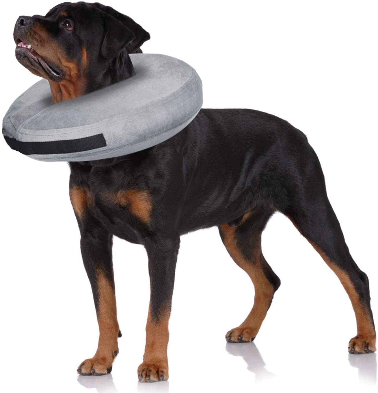 petco inflatable collar