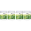 Swanson Psyllium Husk 12 Ounce (340 g) Pwdr 4 Pack