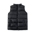 thumbnail image 1 of HANMUN Men's Puffer Vest Stand Collar Quilted Sleeveless Jacket Outerwear for Casual Work Travel Outdoor, 1 of 7