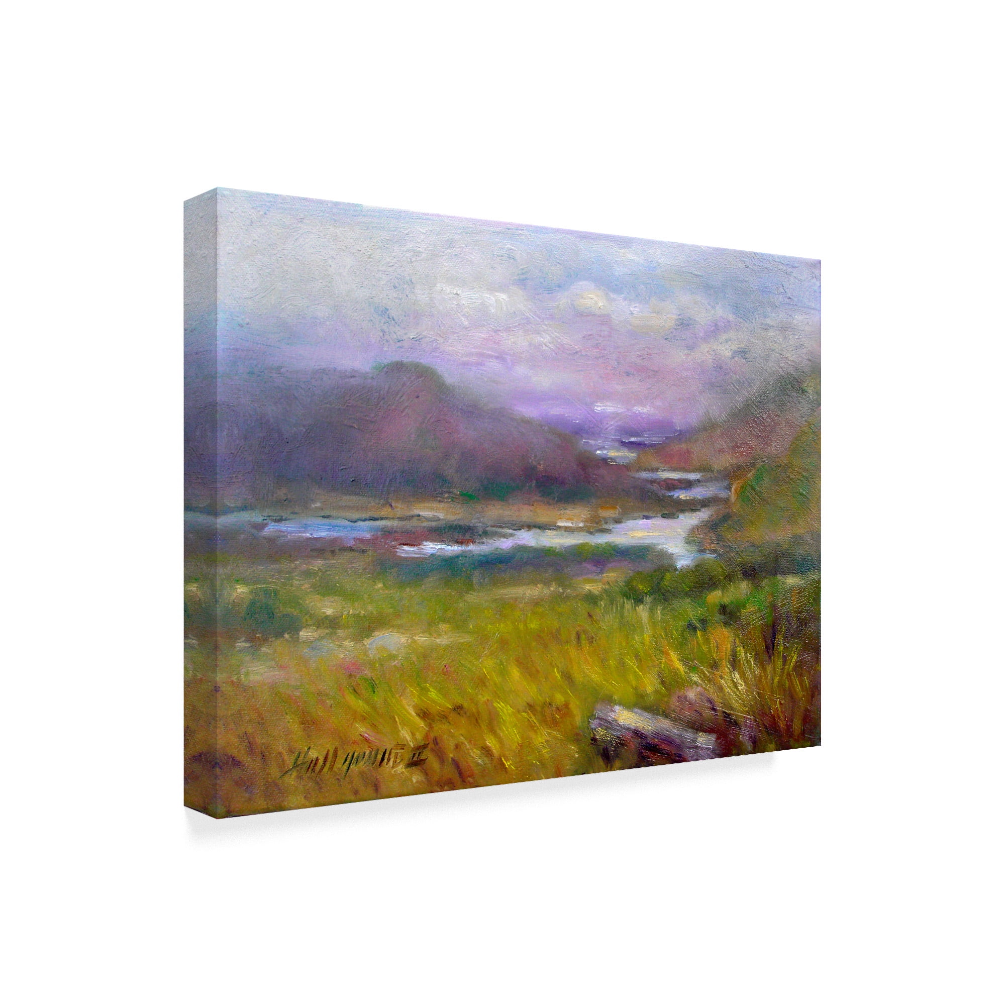 Trademark Fine Art 'Ring Of Kerry, Ireland 14' Canvas Art by Hall Groat Ii