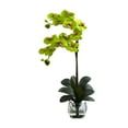 thumbnail image 4 of Nearly Natural Double Phalaenopsis Orchid w/Vase Arrangement, 4 of 8