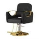 thumbnail image 1 of Silla Sillón Para Barbería Estética Cuero Y Acero Inoxidable - Negro/dorado, 1 of 3