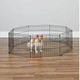 thumbnail image 3 of MidWest Homes for Pets 18-inch Exercise Pen, for Indoor and Outdoor use, 16 Sq Feet of Play, Folding Dog Pen, No Door Design for Maximum Security, Easy to Set Up, Foldable Dog Playpen, 3 of 6