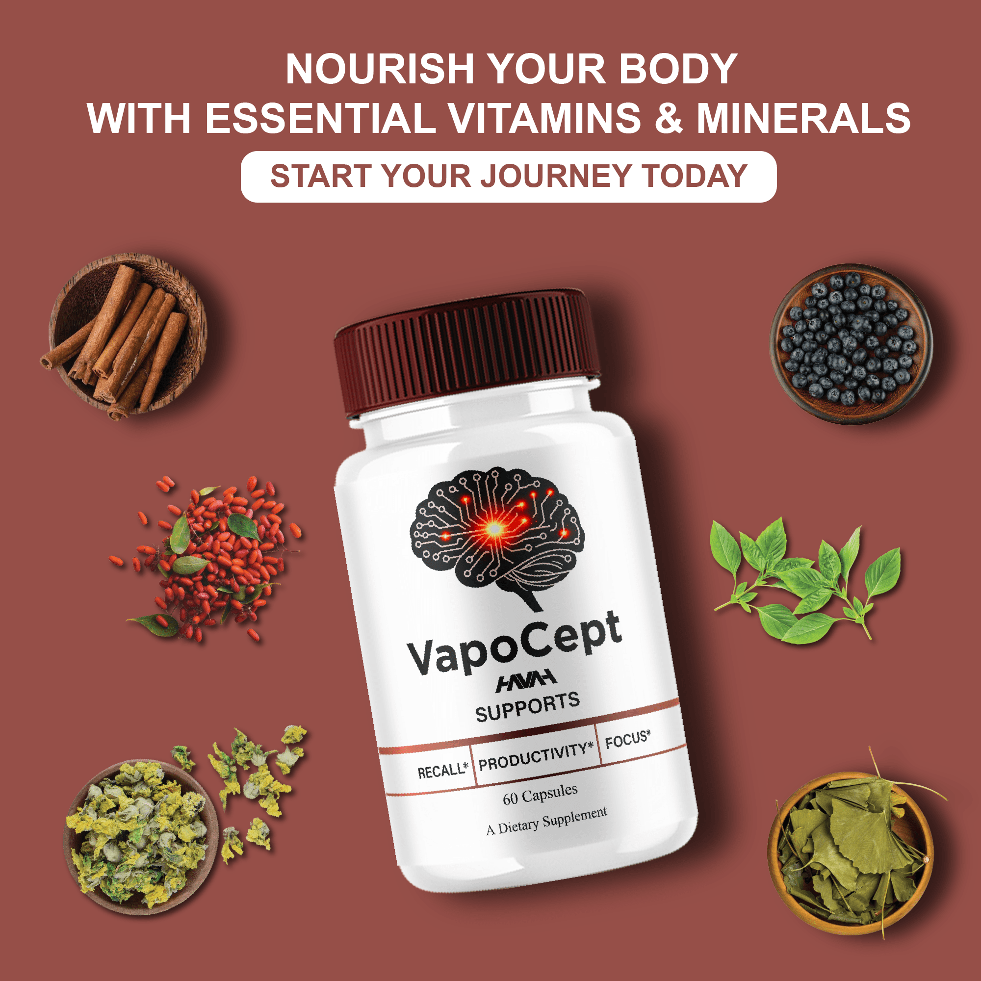 (5 Pack) Vapocept Premium Brain Supplement, Vapo Cept Support (300 Capsules)