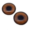 thumbnail image 5 of Brown Sasquatch Glass Eyes, 5 of 10