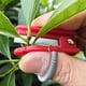 thumbnail image 3 of Juego de cuchillos para recoger frutas y verduras | Cortador de pellizco de uva | Diseño de pulgar para la cosecha de pepino, tomate y fresa | Cómoda punta de plástico para los dedos | Cubierta de, 3 of 5