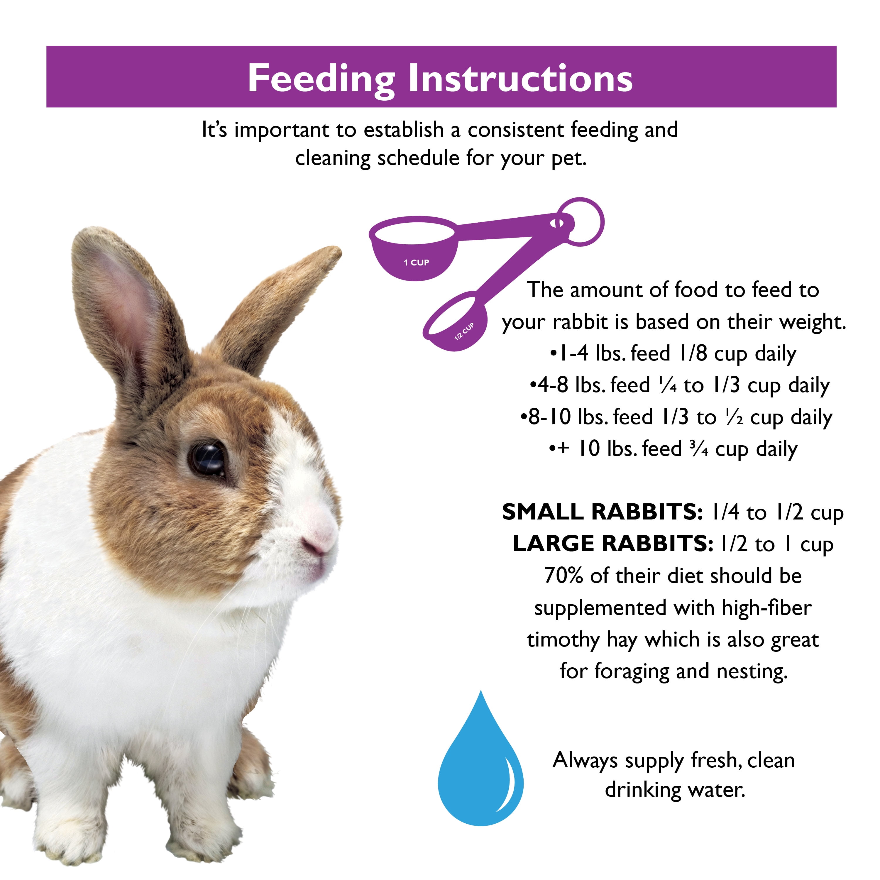 Encore Gourmet Foraging Feast Pet Rabbit Food, 4 lb.
