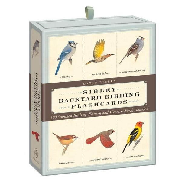 Sibley Backyard Birding Flashcards : 100 Common Birds of Eastern and