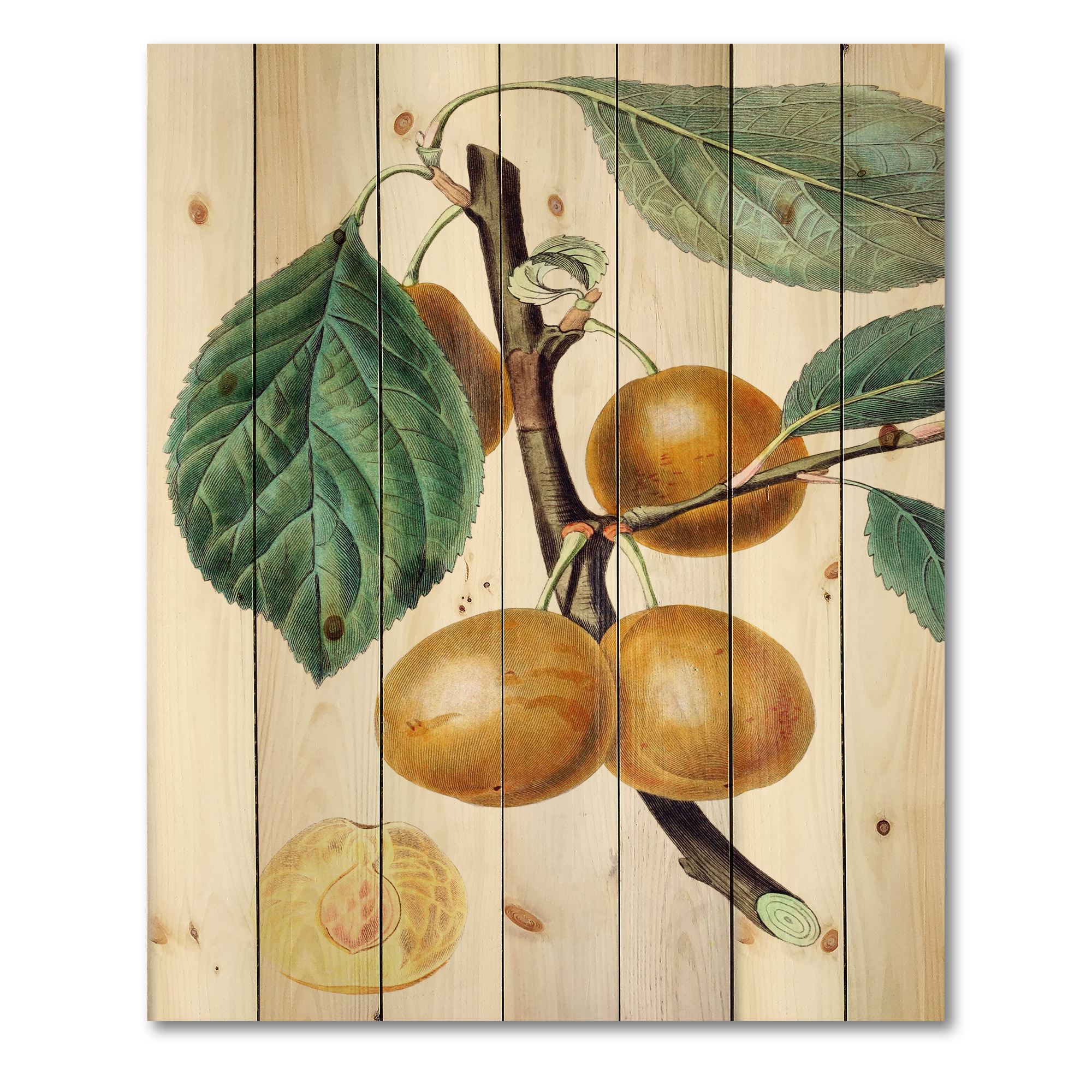 Designart 'Ancient Fruits II' Farmhouse Print on Natural Pine Wood