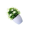 thumbnail image 1 of Toystoory Plantas artificiales, plantas, flores, bonsái, maceta falsa de plástico, jardín, hogar, escritorio, sala de estar, ventana, patio, accesorios Flores artificiales Blanco Toystoory HA084016-02, 1 of 6