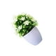 thumbnail image 2 of Plantas artificiales Bearachild Bonsai de flores maceta falsa color Blanco, 2 of 6