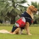 thumbnail image 3 of Mochila de tela Oxford para perro Laklulu, bolsa de viaje, mochila propia, 3 of 6