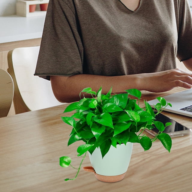 WRITWAA 3Ud Maceta Auto Para Cultivo De Hierbas Con Moderno Y Función Hidroponía
