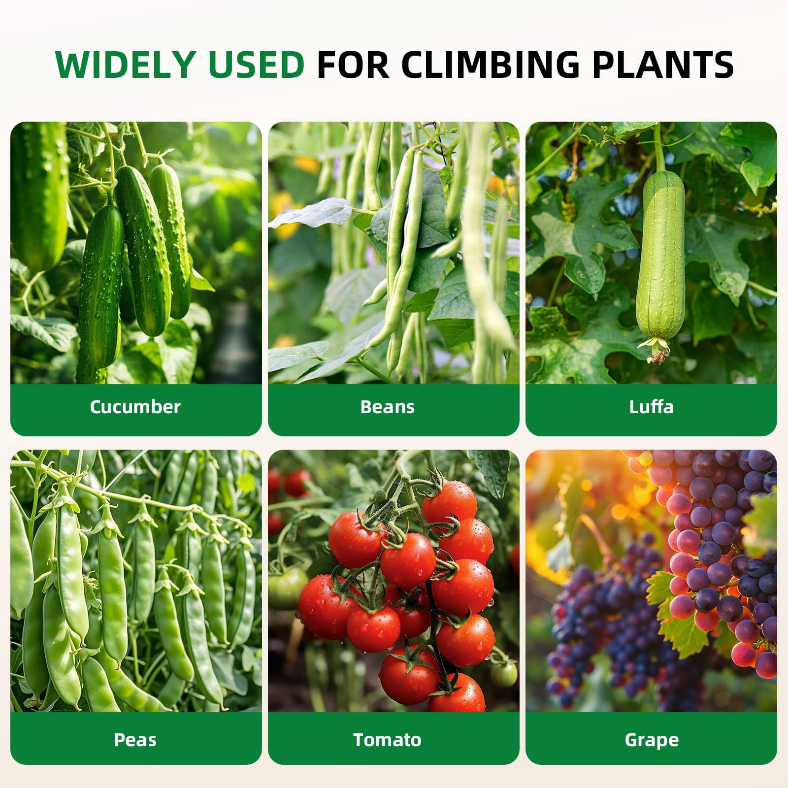 Cucumber Trellis For Raised Bed  U-shape Garden Arch Metal Support Climbing Plants Plant Vegetables Vine (green 31.5 * 30 47inch(l*w*h))