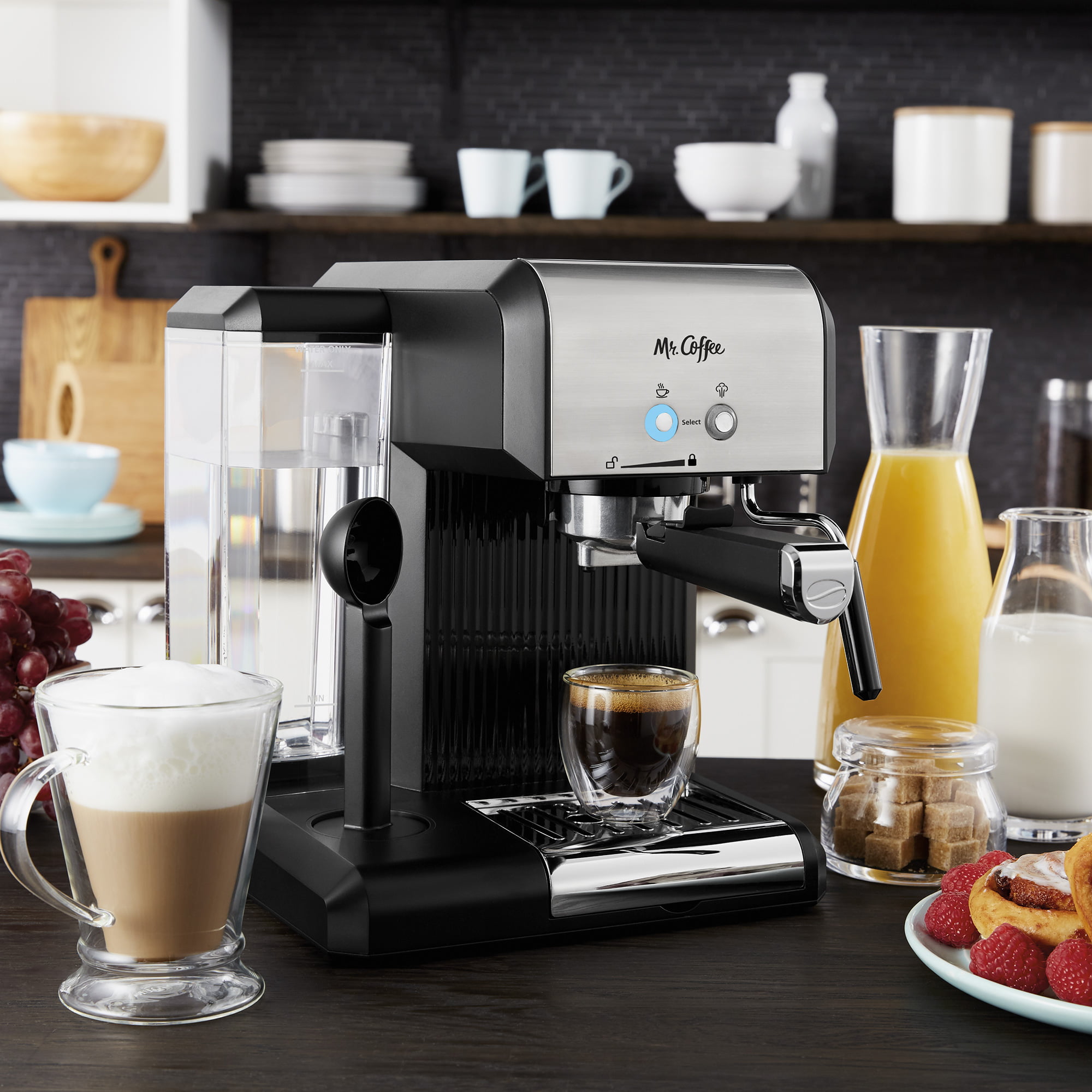 Mr. Coffee automatic dual shot Espresso / Cappuccino Maker System ECMP50  for sale online