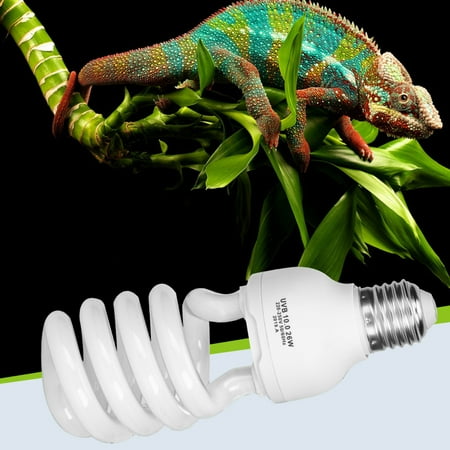 Uvb bulb cheap for chameleon