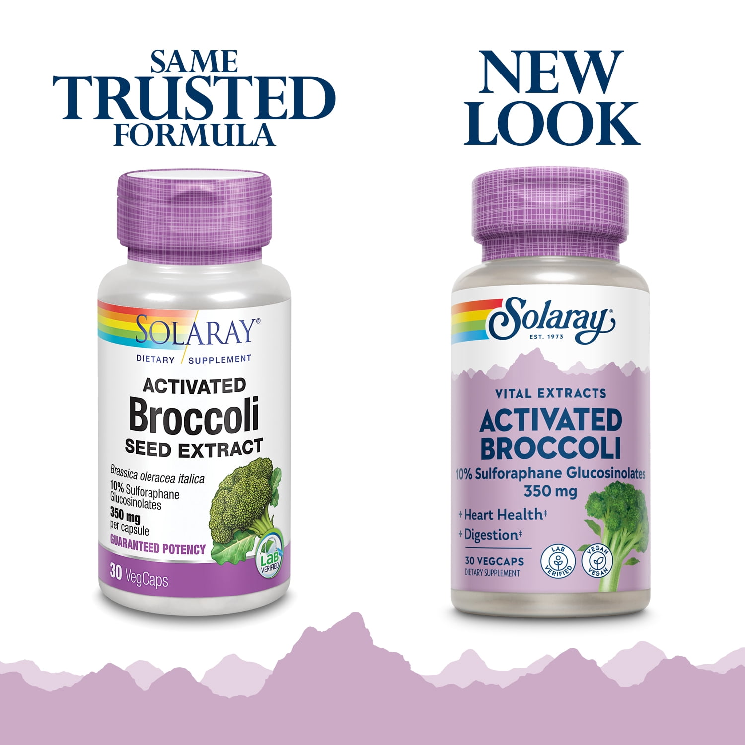 Solaray Activated Broccoli Seed Extract 350 mg | 10% Sulforaphane Glucosinolates for Antioxidant Support | 30 VegCaps