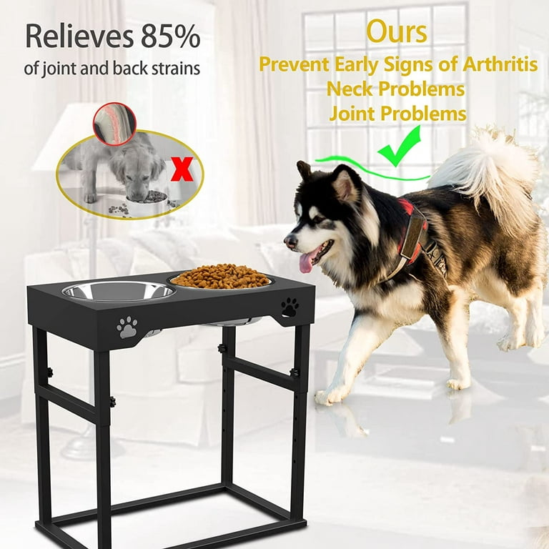 Lewondr Elevated Slow Feeder Dog Bowls, Raised Dog Food Bowls with