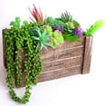 thumbnail image 2 of Trianu 14 Pcs Artificial Succulents Plants Unpotted Green Hops String of Pearls Echeveria Air Plant Picks Fake Succulents Bulk for Succulent Garden Arrangement Centerpiece Indoor Outdoor Home Decor, 2 of 9