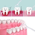 thumbnail image 4 of 1000 piezas Palillos de hilo dental NQ 2 EN 1 Limpieza de dientes para limpieza interdental, 4 of 5