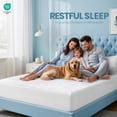 thumbnail image 2 of Queen Size Mattress Protector Waterproof, Premium 200 GSM Terry Mattress Cover, Soft & Breathable Bed Cover, Fitted Sheet Style Stretchable Deep Pockets 17" by Utopia Bedding, 2 of 4