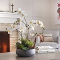 thumbnail image 3 of Artificial Orchid with Succulents, 3 of 5