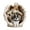C, variant on XMMSWDLA Pet Memorial Gifts - Dog or Cat Memorial Christmas Angel Photo Ornaments 2024 - Pet Loss Gifts for Dog or Cat - Pet Remembrance Decorative Ornaments for Christmas Tree